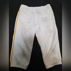 Mizuno Baseball Pants
